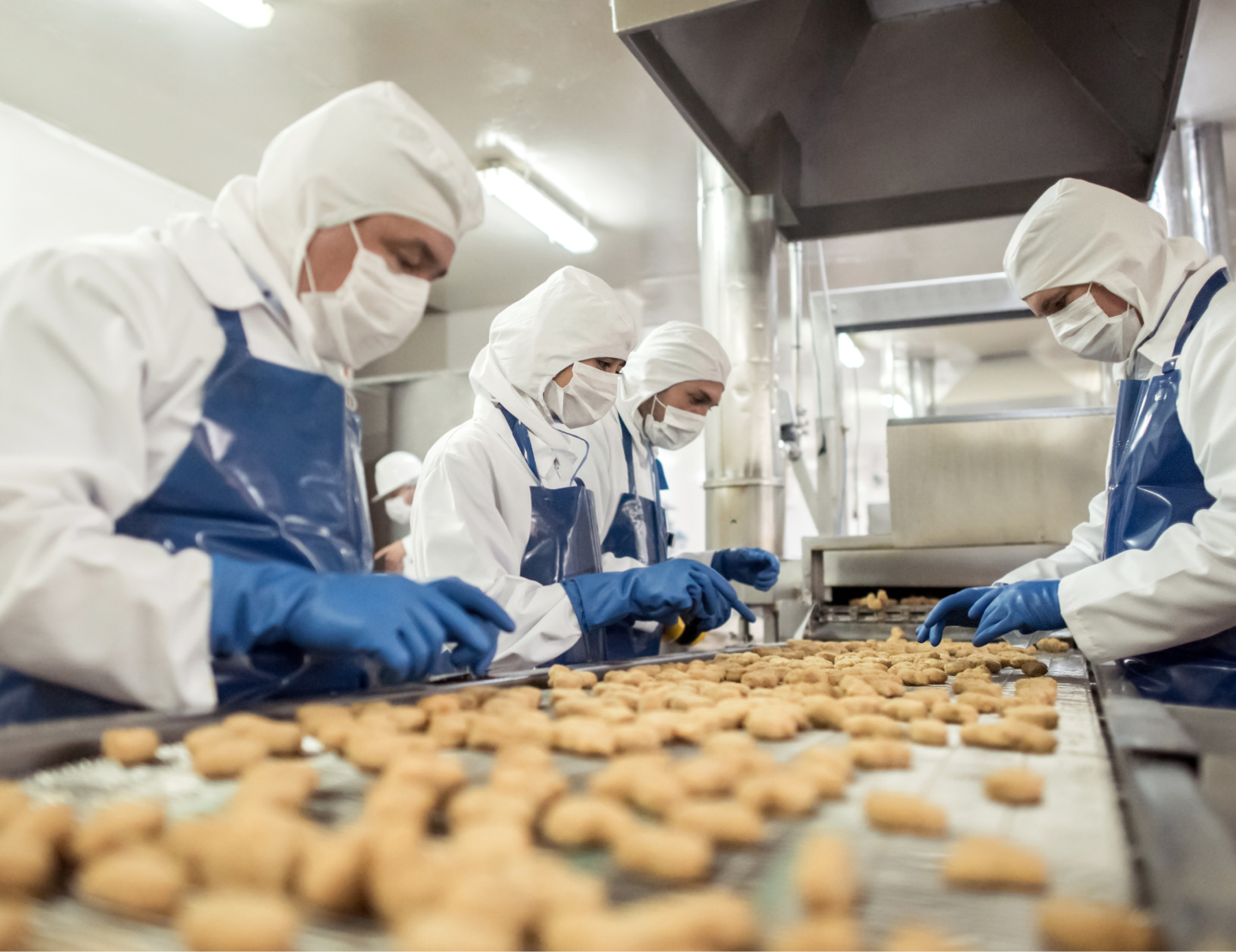 Serving Up Sustainability