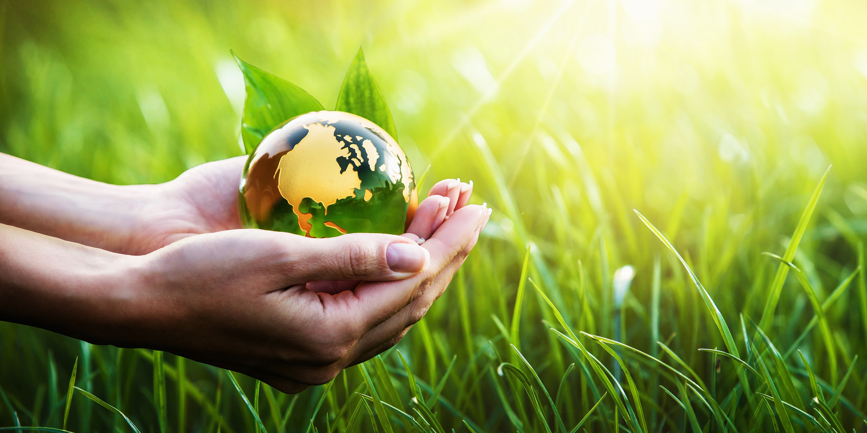 Emissions Management Suite Brochure