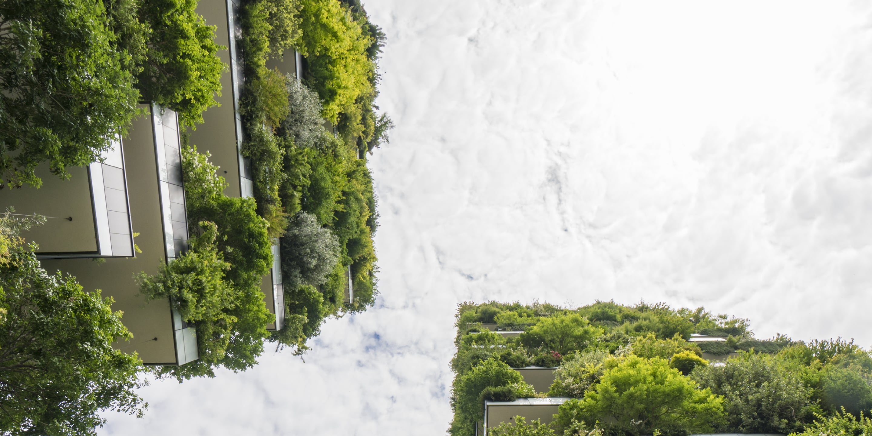 How AI is Powering Sustainability