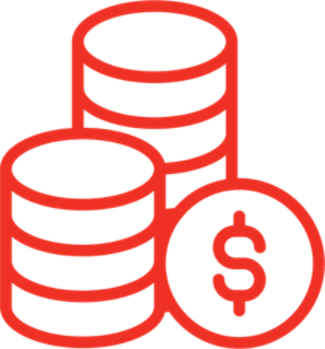 ROI Icon